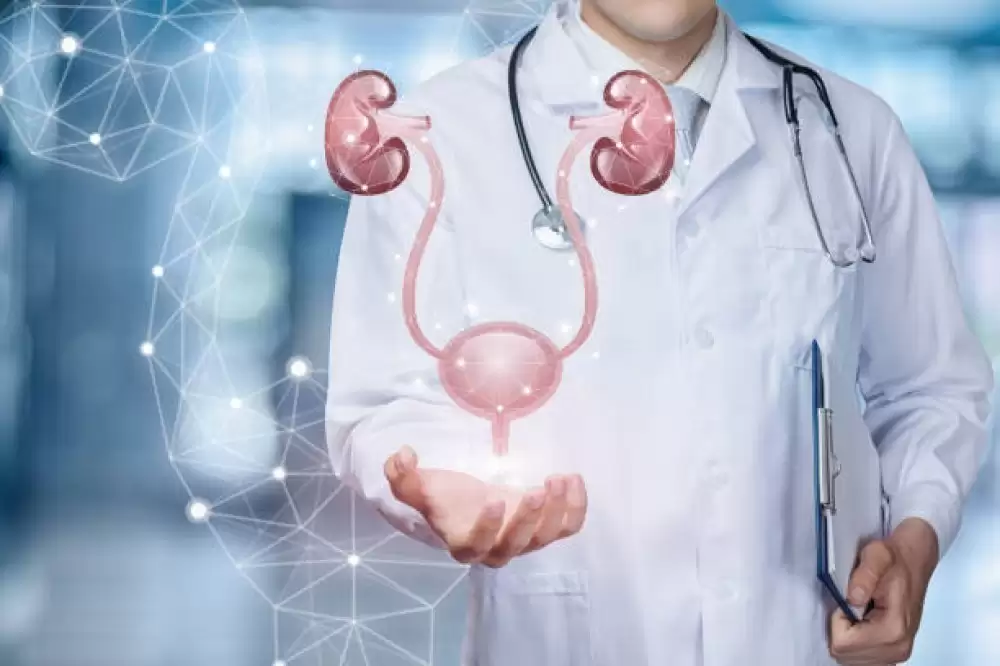 Best Urologist in Dubai